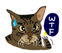 Two cats- Cola and Chocolate sticker #9228047