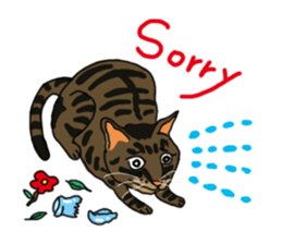 Two cats- Cola and Chocolate sticker #9228048