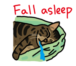 Two cats- Cola and Chocolate sticker #9228052