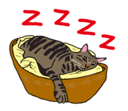 Two cats- Cola and Chocolate sticker #9228054