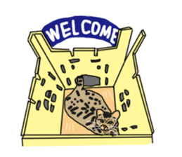 Two cats- Cola and Chocolate sticker #9228066