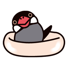 Today is also Java sparrow happiness.
