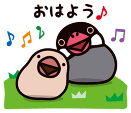 Today is also Java sparrow happiness. sticker #9233378
