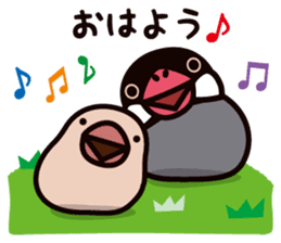 Today is also Java sparrow happiness. sticker #9233378