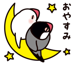 Today is also Java sparrow happiness. sticker #9233379