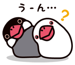 Today is also Java sparrow happiness. sticker #9233387