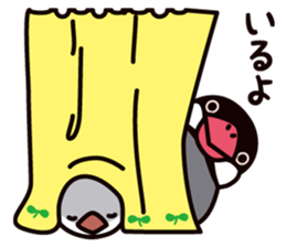 Today is also Java sparrow happiness. sticker #9233388