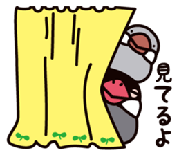 Today is also Java sparrow happiness. sticker #9233389