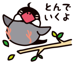Today is also Java sparrow happiness. sticker #9233393