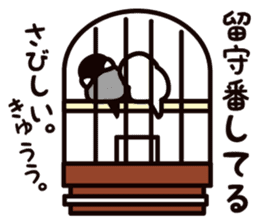 Today is also Java sparrow happiness. sticker #9233395