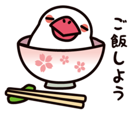 Today is also Java sparrow happiness. sticker #9233397