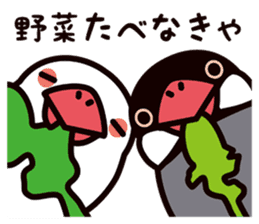 Today is also Java sparrow happiness. sticker #9233398