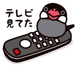 Today is also Java sparrow happiness. sticker #9233400