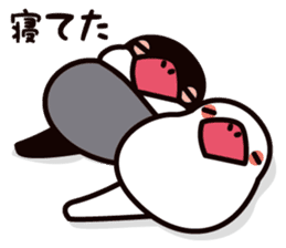 Today is also Java sparrow happiness. sticker #9233401