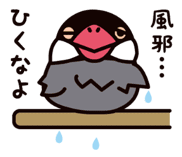 Today is also Java sparrow happiness. sticker #9233406