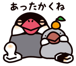 Today is also Java sparrow happiness. sticker #9233407