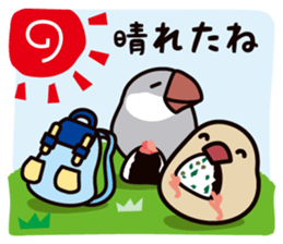 Today is also Java sparrow happiness. sticker #9233408