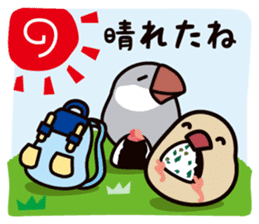 Today is also Java sparrow happiness. sticker #9233408