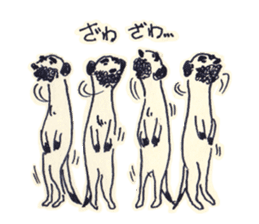 Beard meerkat sticker #9235803