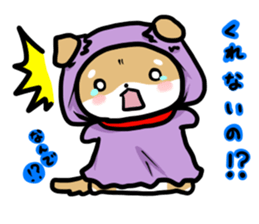 shiitan japsnese midget shiba in winter sticker #9236042