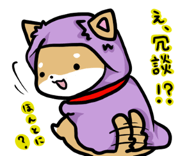 shiitan japsnese midget shiba in winter sticker #9236044