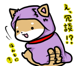 shiitan japsnese midget shiba in winter sticker #9236044