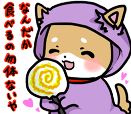 shiitan japsnese midget shiba in winter sticker #9236047