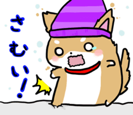 shiitan japsnese midget shiba in winter sticker #9236051