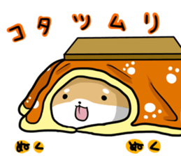 shiitan japsnese midget shiba in winter sticker #9236053