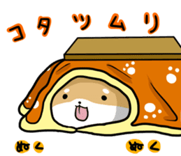 shiitan japsnese midget shiba in winter sticker #9236053