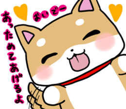 shiitan japsnese midget shiba in winter sticker #9236056