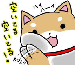 shiitan japsnese midget shiba in winter sticker #9236066