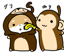 shiitan japsnese midget shiba in winter sticker #9236075