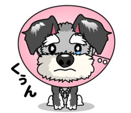 I Love Bobby sticker #9240662