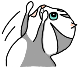 Shiami & Tudo  (English ver.) sticker #9242577