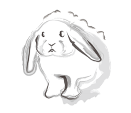 Lnk Languages sticker #9244082