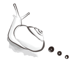 Lnk Languages sticker #9244087