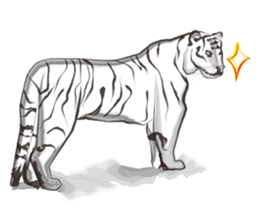 Lnk Languages sticker #9244108