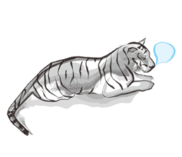 Lnk Languages sticker #9244114