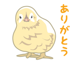 Rial Zoo sticker #9244400