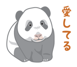 Rial Zoo sticker #9244406