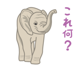 Rial Zoo sticker #9244407