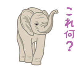 Rial Zoo sticker #9244407