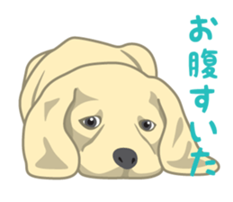 Rial Zoo sticker #9244408