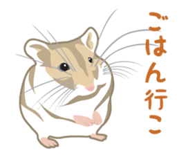 Rial Zoo sticker #9244409