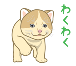 Rial Zoo sticker #9244411