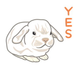 Rial Zoo sticker #9244414