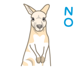 Rial Zoo sticker #9244415