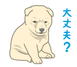 Rial Zoo sticker #9244419