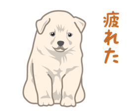 Rial Zoo sticker #9244425